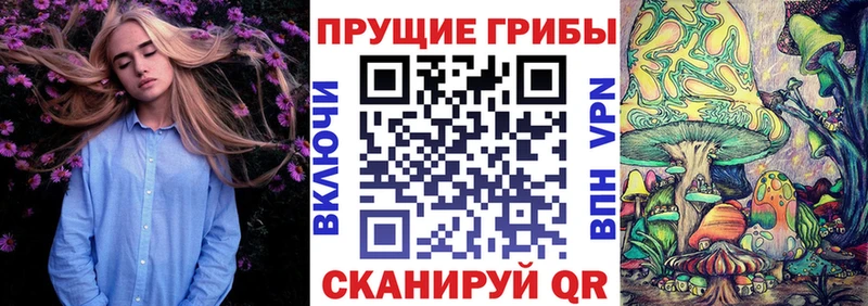 Галлюциногенные грибы Magic Shrooms  где купить   Суворов 