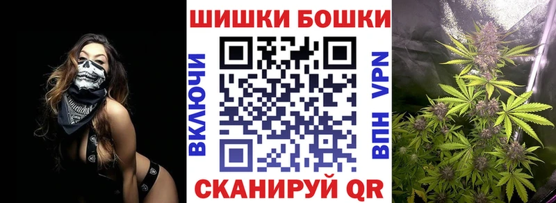 Бошки Шишки конопля  наркотики  KRAKEN ССЫЛКА  Суворов 